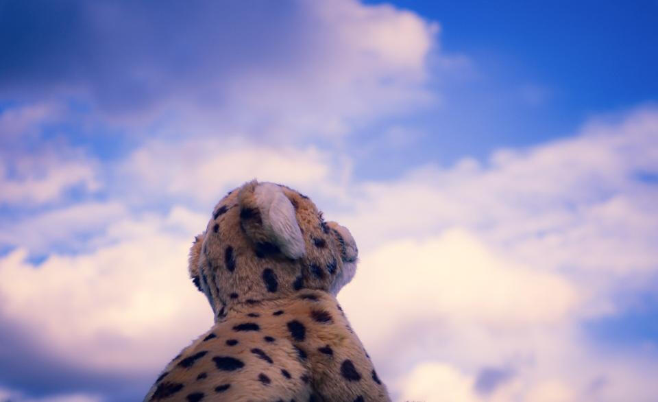 Reaching for the Clouds